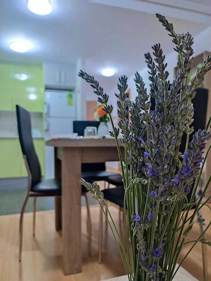 Apartamento Estrella De Теруэль Экстерьер фото